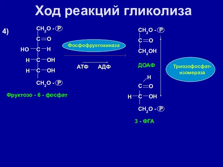 Ход реакций гликолиза CH2O - P С С С С