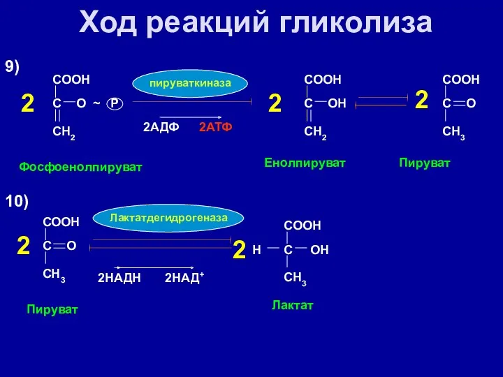 Ход реакций гликолиза 9) 2 СOOH С O ~ P