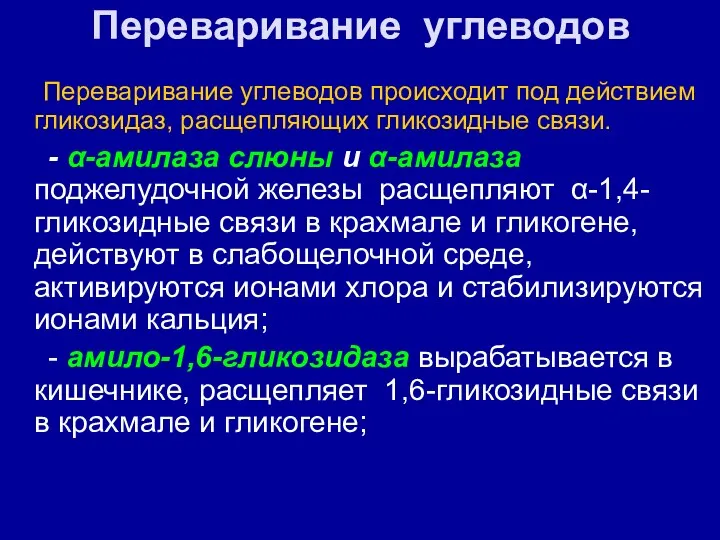 Переваривание углеводов Переваривание углеводов происходит под действием гликозидаз, расщепляющих гликозидные