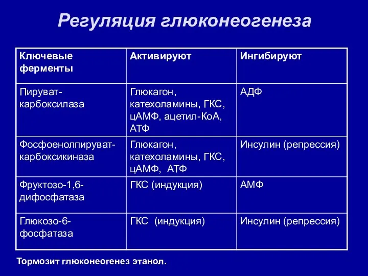 Регуляция глюконеогенеза Тормозит глюконеогенез этанол.