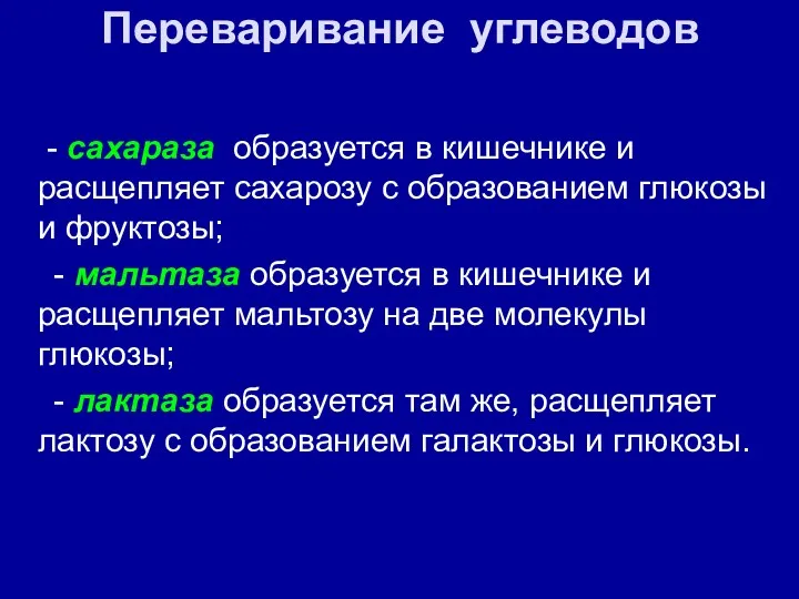 Переваривание углеводов - сахараза образуется в кишечнике и расщепляет сахарозу