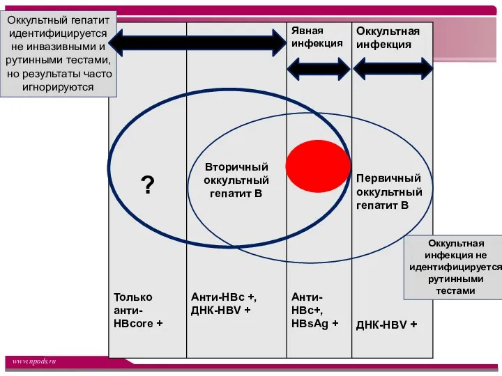 Оккультный гепатит идентифицируется не инвазивными и рутинными тестами, но результаты