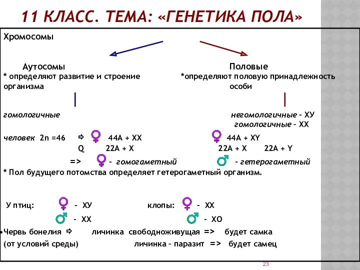 11 КЛАСС. ТЕМА: «ГЕНЕТИКА ПОЛА» Хромосомы Аутосомы Половые * определяют