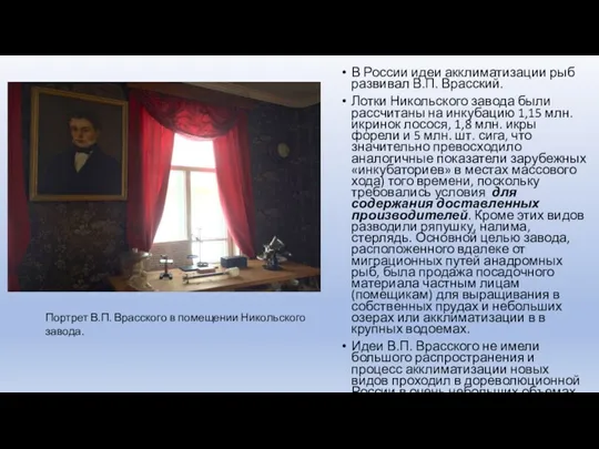 . В России идеи акклиматизации рыб развивал В.П. Врасский. Лотки Никольского завода были