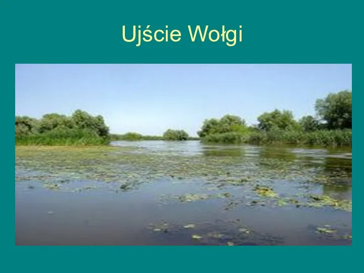 Ujście Wołgi