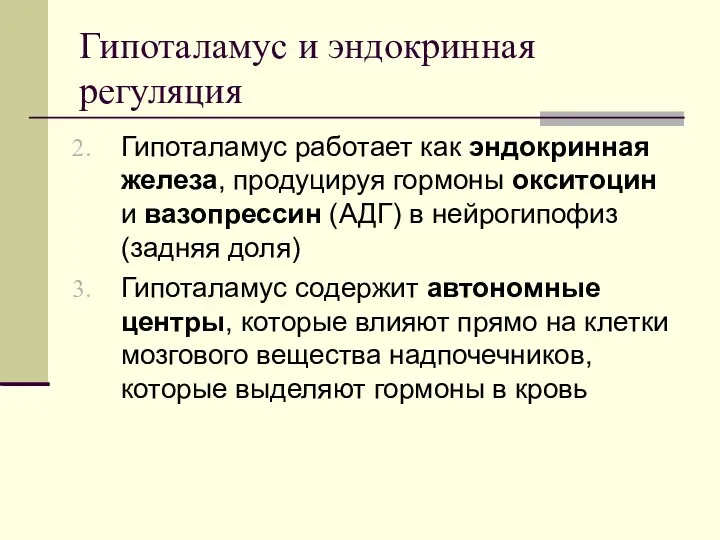 Гипоталамус и эндокринная регуляция Гипоталамус работает как эндокринная железа, продуцируя