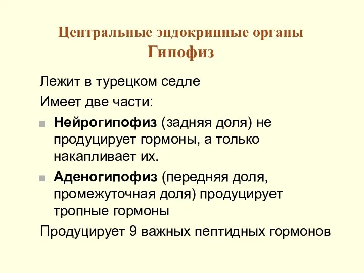 Центральные эндокринные органы Гипофиз Лежит в турецком седле Имеет две