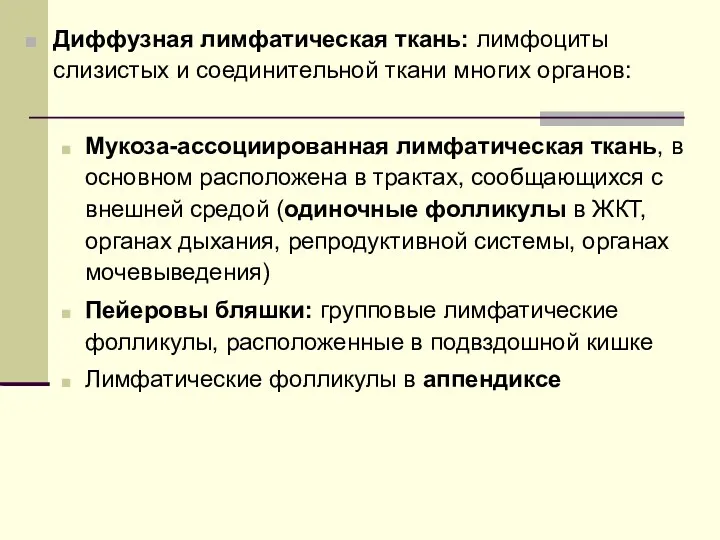 Диффузная лимфатическая ткань: лимфоциты слизистых и соединительной ткани многих органов: