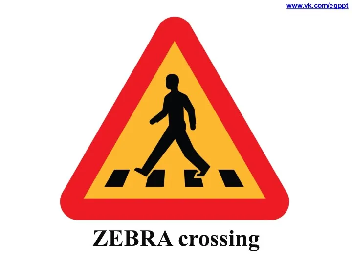 ZEBRA crossing www.vk.com/egppt