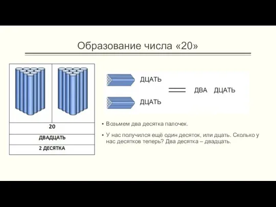 Образование числа «20» Возьмем два десятка палочек. У нас получился