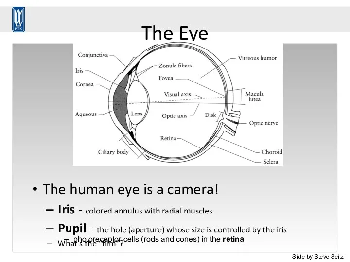 The Eye The human eye is a camera! Iris -