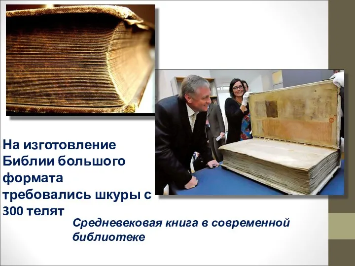 Средневековая книга в современной библиотеке На изготовление Библии большого формата требовались шкуры с 300 телят