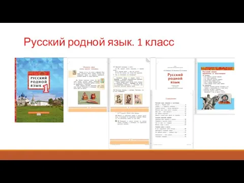 Русский родной язык. 1 класс