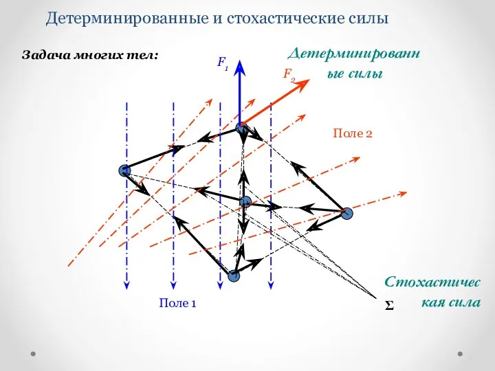 Стохастическая сила Детерминированные и стохастические силы Поле 2 Поле 1