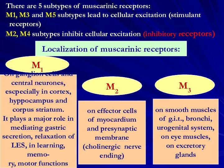 There are 5 subtypes of muscarinic receptors: M1, M3 and M5 subtypes lead