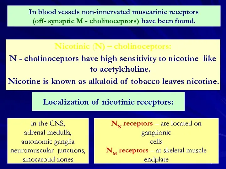 Nicotinic (N) – cholinoceptors: N - cholinoceptors have high sensitivity to nicotine like