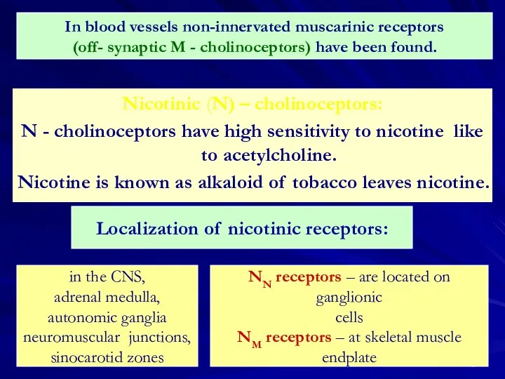 Nicotinic (N) – cholinoceptors: N - cholinoceptors have high sensitivity