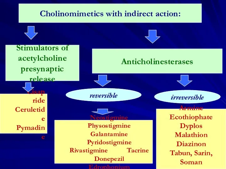 Cholinomimetics with indirect action: Stimulators of acetylcholine presynaptic release Anticholinesterases Cisapride Ceruletide Pymadine