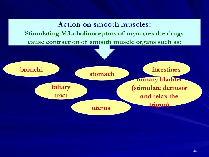 Action on smooth muscles: Stimulating M3-cholinoceptors of myocytes the drugs cause contraction of