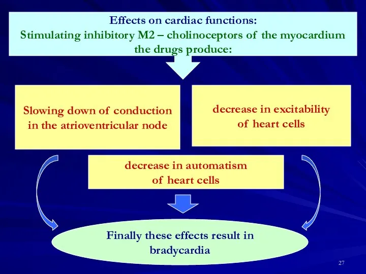 Effects on cardiac functions: Stimulating inhibitory M2 – cholinoceptors of the myocardium the
