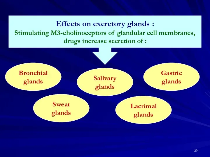 Effects on excretory glands : Stimulating M3-cholinoceptors of glandular cell membranes, drugs increase