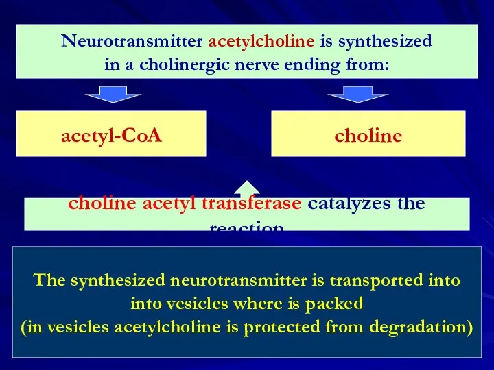 Neurotransmitter acetylcholine is synthesized in a cholinergic nerve ending from: acetyl-CoA choline choline