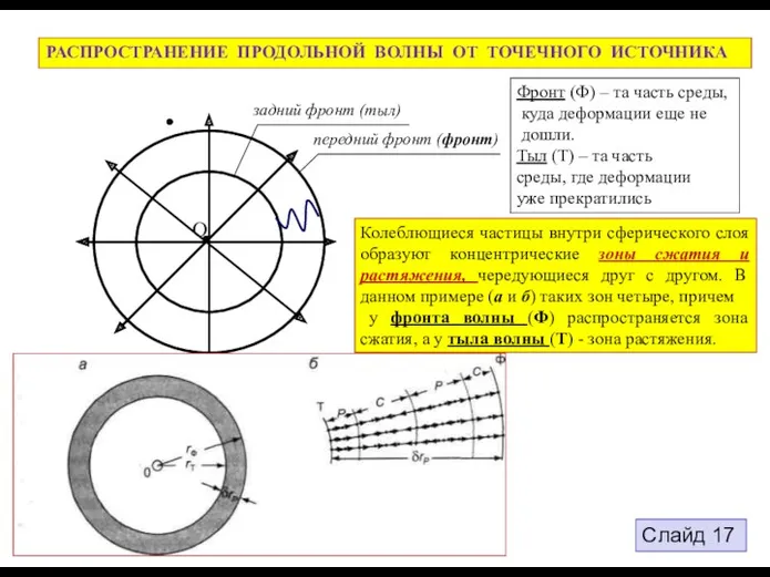 О задний фронт (тыл) передний фронт (фронт) РАСПРОСТРАНЕНИЕ ПРОДОЛЬНОЙ ВОЛНЫ