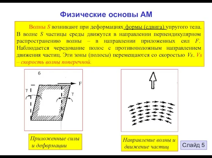 Физические основы АМ Волны S возникают при деформациях формы (сдвига)