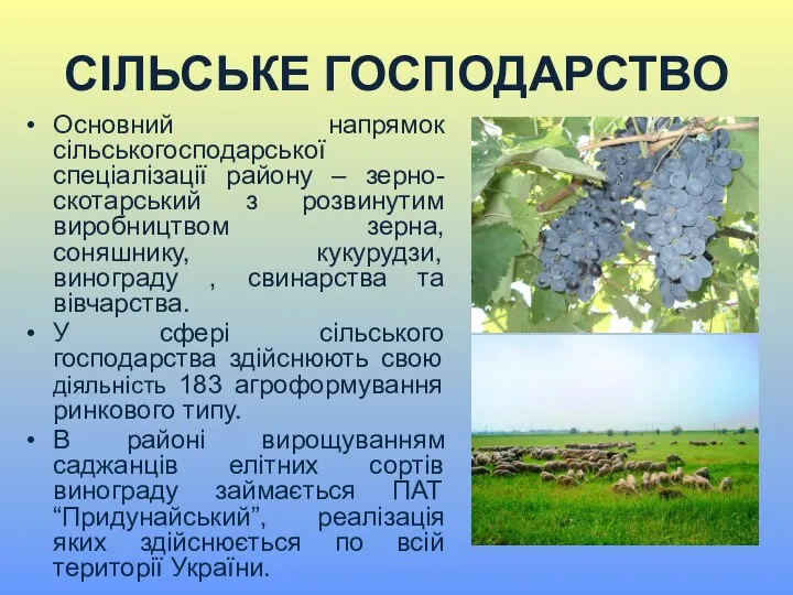 СІЛЬСЬКЕ ГОСПОДАРСТВО Основний напрямок сільськогосподарської спеціалізації району – зерно-скотарський з