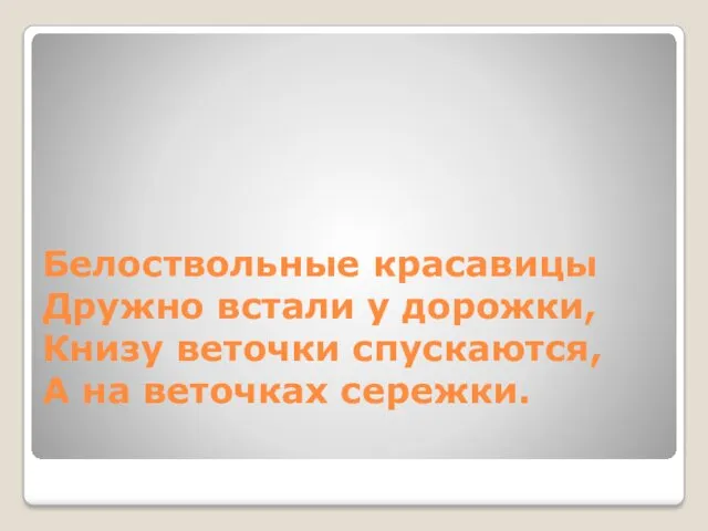 Белоствольные красавицы Дружно встали у дорожки, Книзу веточки спускаются, А на веточках сережки.