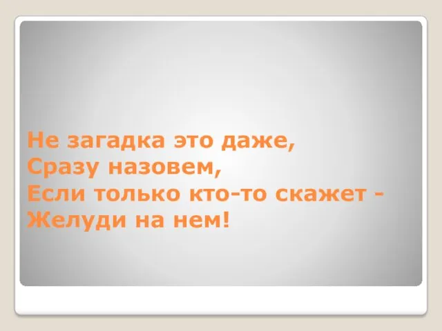 Не загадка это даже, Сразу назовем, Если только кто-то скажет - Желуди на нем!