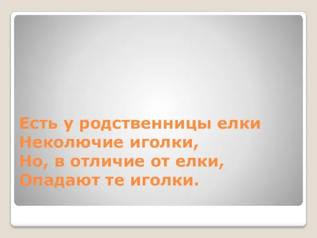 Есть у родственницы елки Неколючие иголки, Но, в отличие от елки, Опадают те иголки.