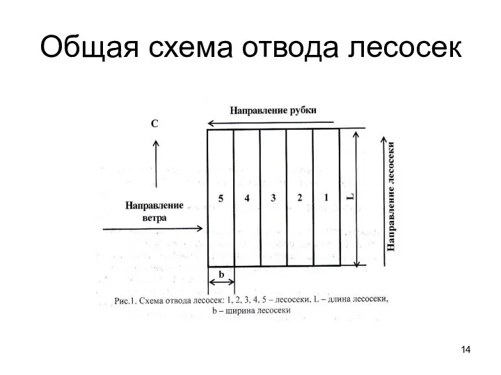 Общая схема отвода лесосек