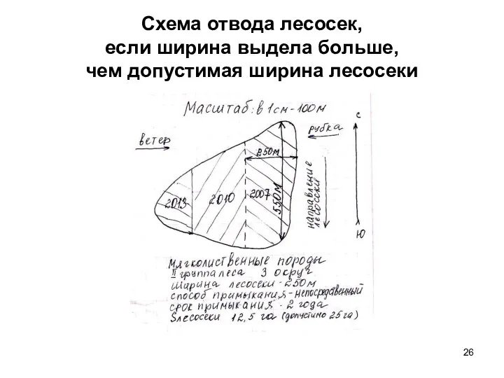 Схема отвода лесосек, если ширина выдела больше, чем допустимая ширина лесосеки