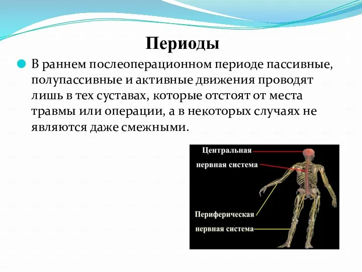 Периоды В раннем послеоперационном периоде пассивные, полупассивные и активные движения