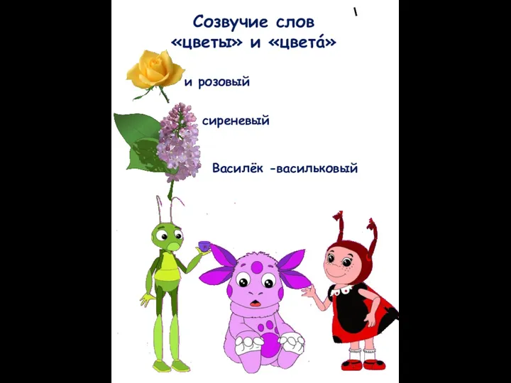 Созвучие слов «цветы» и «цветá» и розовый сиреневый Василёк -васильковый