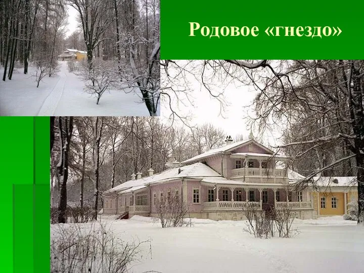 Родовое «гнездо»