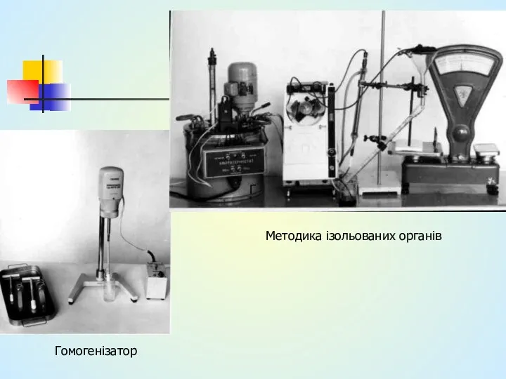 Г Гомогенізатор Методика ізольованих органів