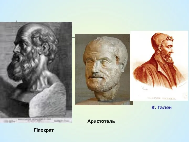 Гіпократ Аристотель К. Гален