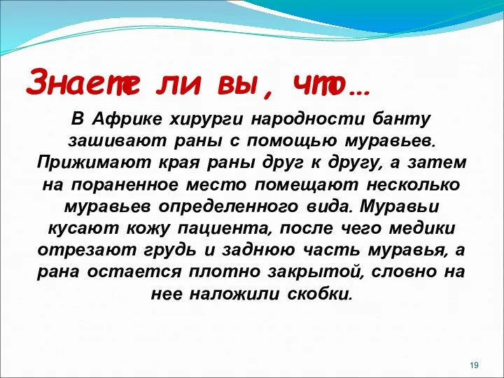 Знаете ли вы, что… В Африке хирурги народности банту зашивают