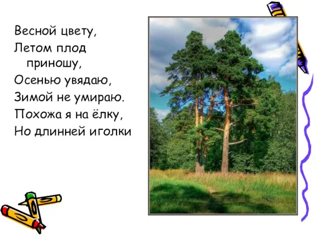 Весной цвету, Летом плод приношу, Осенью увядаю, Зимой не умираю.