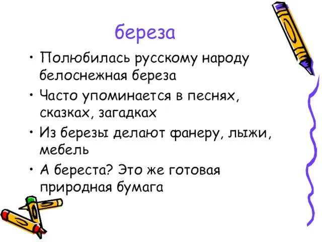 береза Полюбилась русскому народу белоснежная береза Часто упоминается в песнях,