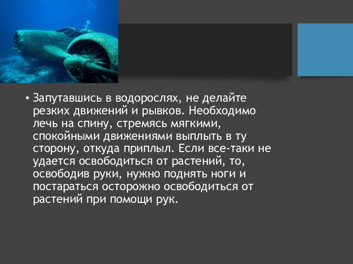 Запутавшись в водорослях, не делайте резких движений и рывков. Необходимо