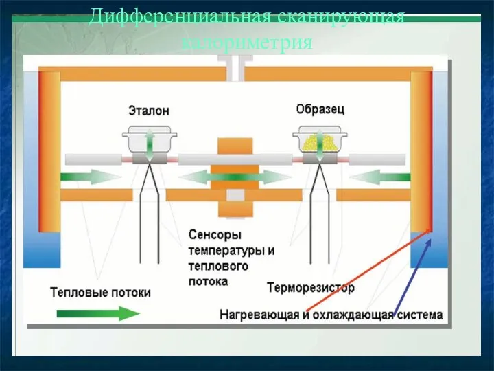 Дифференциальная сканирующая калориметрия