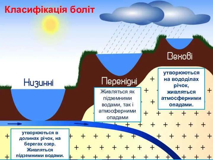 утворюються на вододілах річок, живляться атмосферними опадами. утворюються в долинах