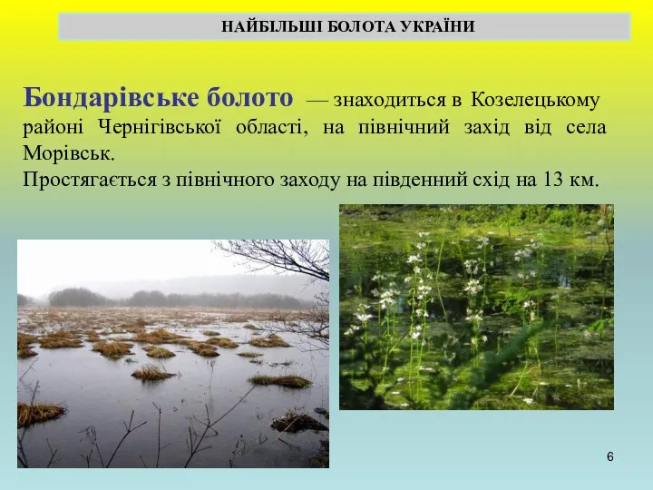 НАЙБІЛЬШІ БОЛОТА УКРАЇНИ Бондарівське болото — знаходиться в Козелецькому районі