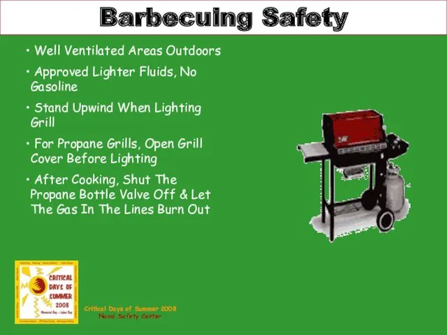 Barbecuing Safety Well Ventilated Areas Outdoors Approved Lighter Fluids, No