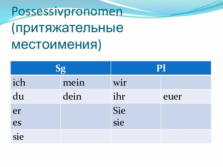 Possessivpronomen (притяжательные местоимения)