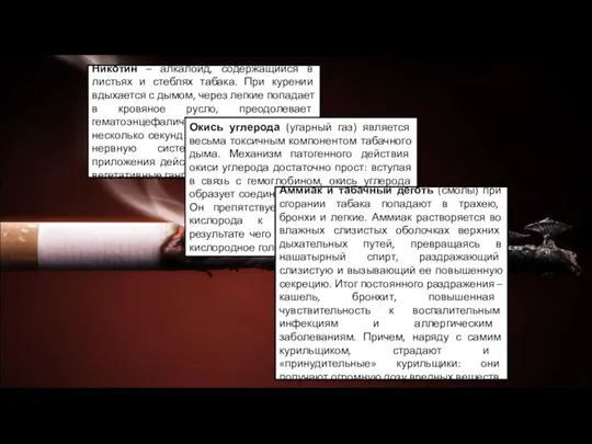 Никотин – алкалоид, содержащийся в листьях и стеблях табака. При