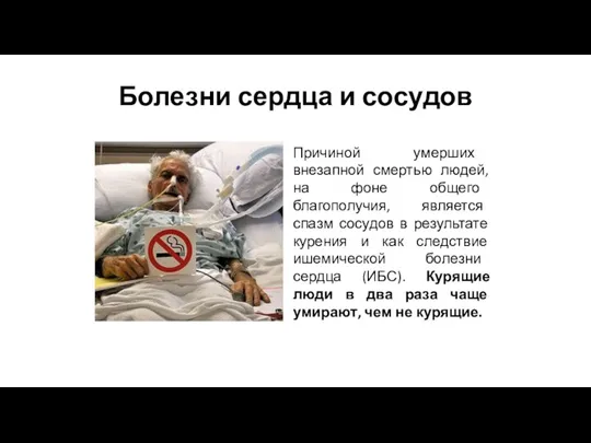 Болезни сердца и сосудов Причиной умерших внезапной смертью людей, на